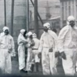 Progresso 1981
